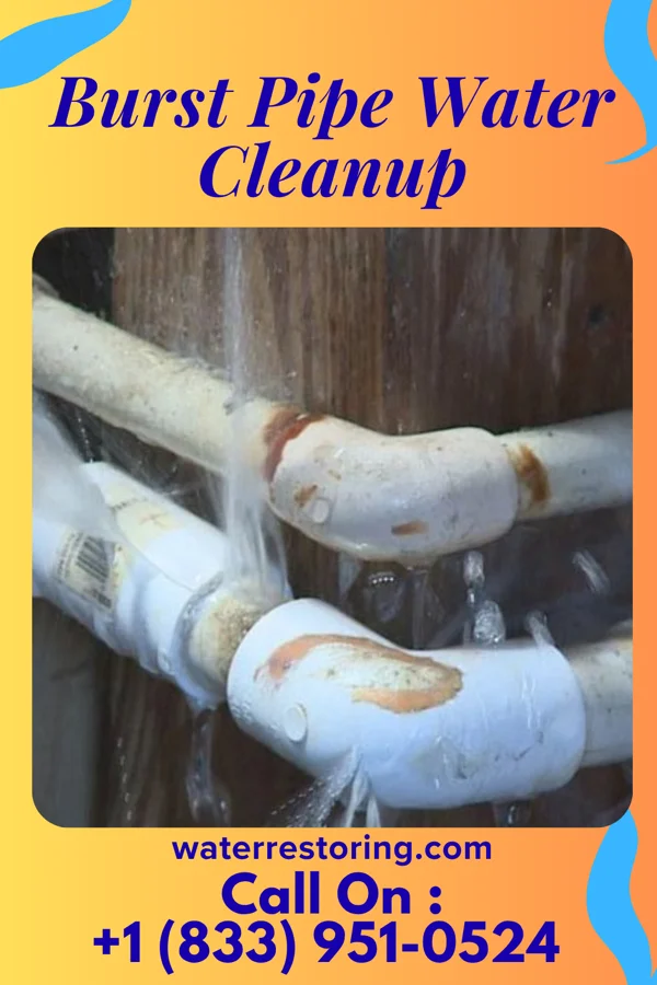 Burst Pipe Water Cleanup in New Paris, PA