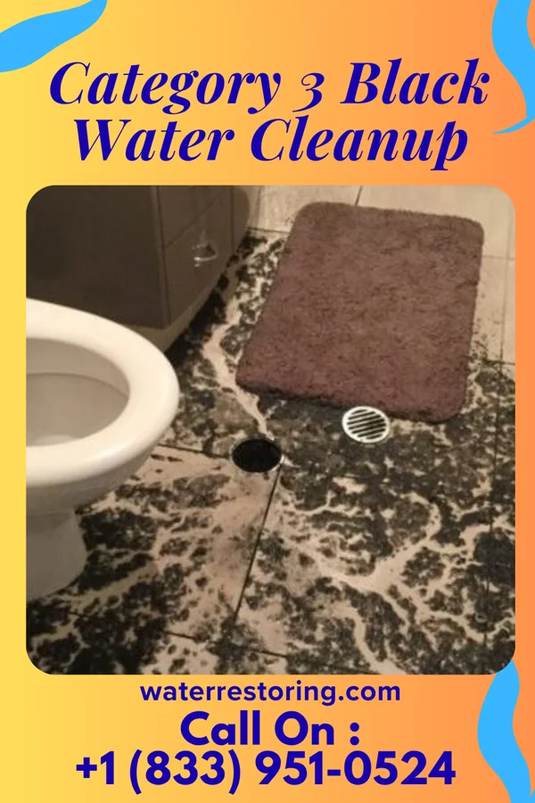 Category 3 Black Water Cleanup in New Paris, PA