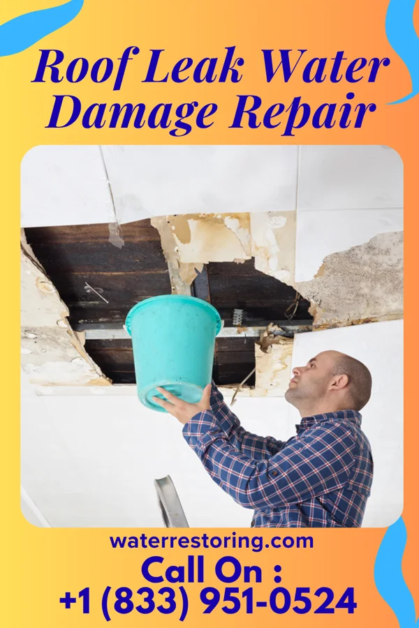 Roof Leak Water Damage Repair in New Paris, PA