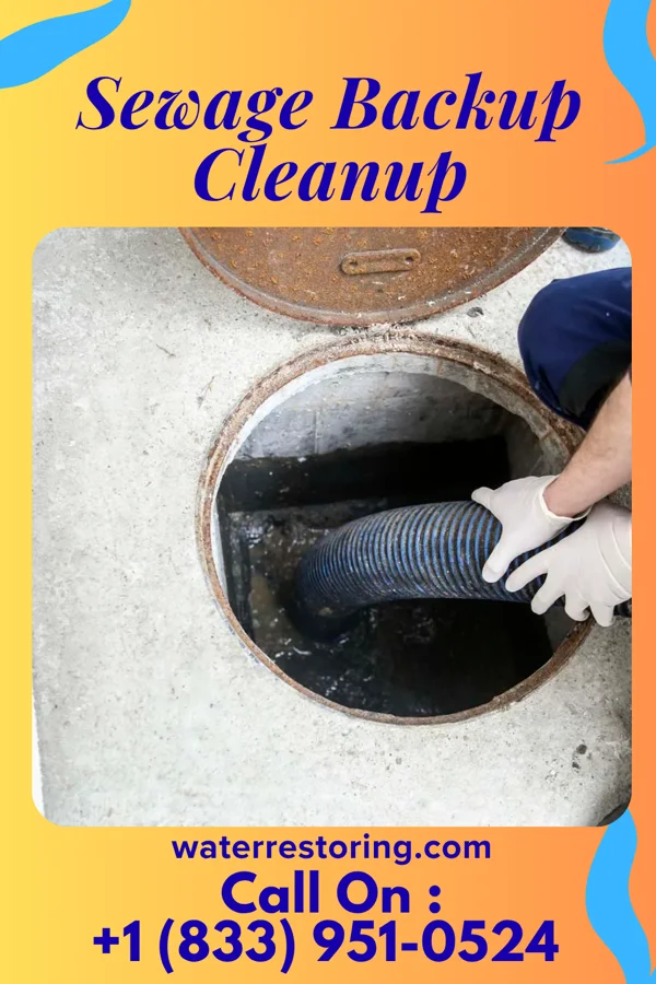 Sewage Backup Cleanup in New Paris, PA