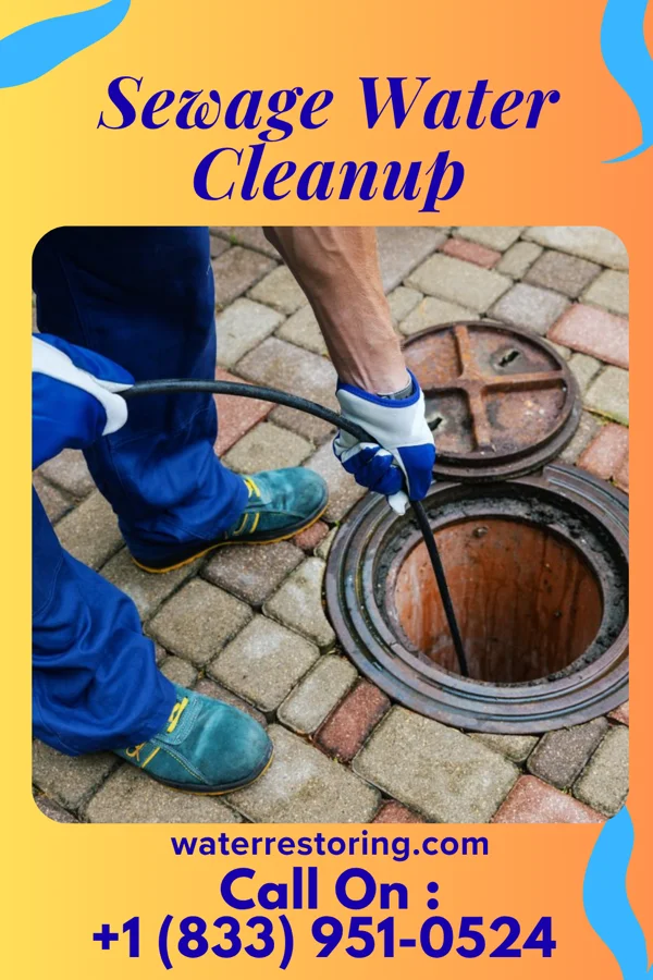 Sewage Water Cleanup in New Paris, PA